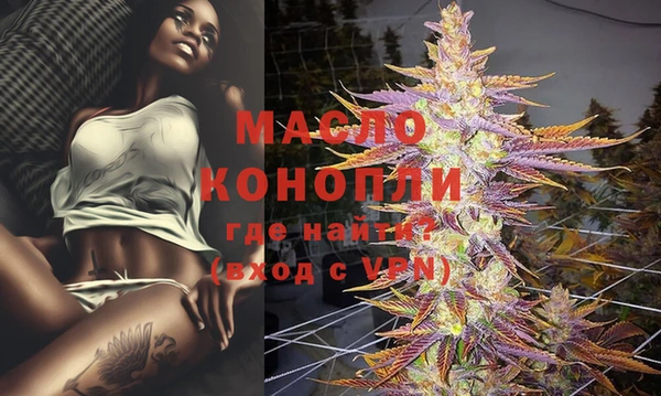 гидра Саяногорск