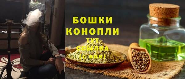 молекула духа Семикаракорск