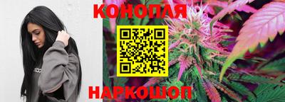 сатива Краснознаменск