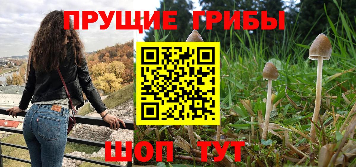 Псилоцибиновые грибы мицелий Избербаш